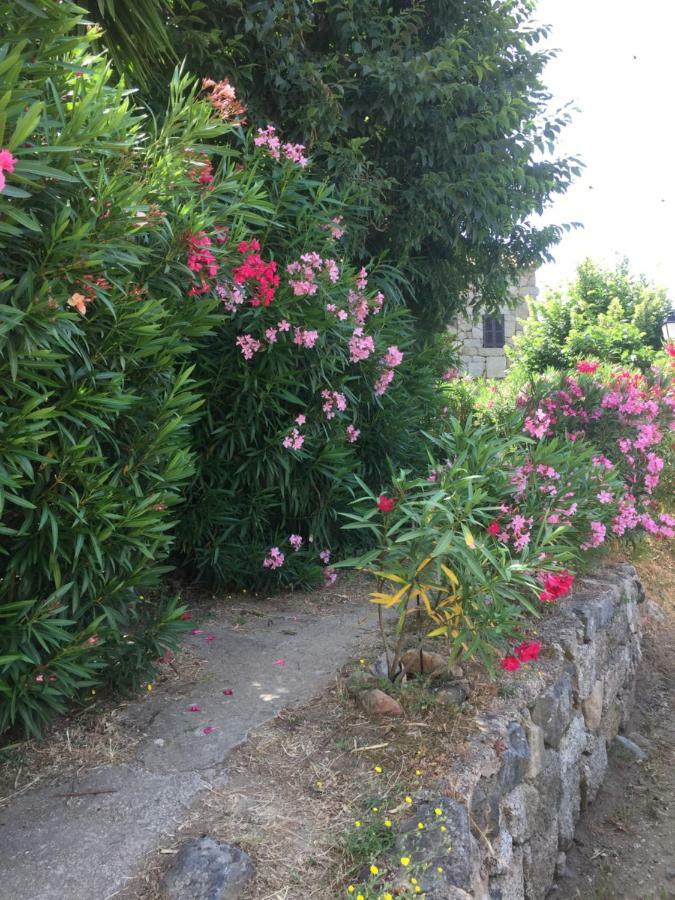 Gite , Maison De Vacances Avec Exterieur Et Terrasse Fleurie Meuble Tourisme 3 Etoiles Santa-Lucia-di-Tallano Exterior foto